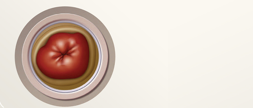 um círculo vermelho e branco com um círculo branco no meio