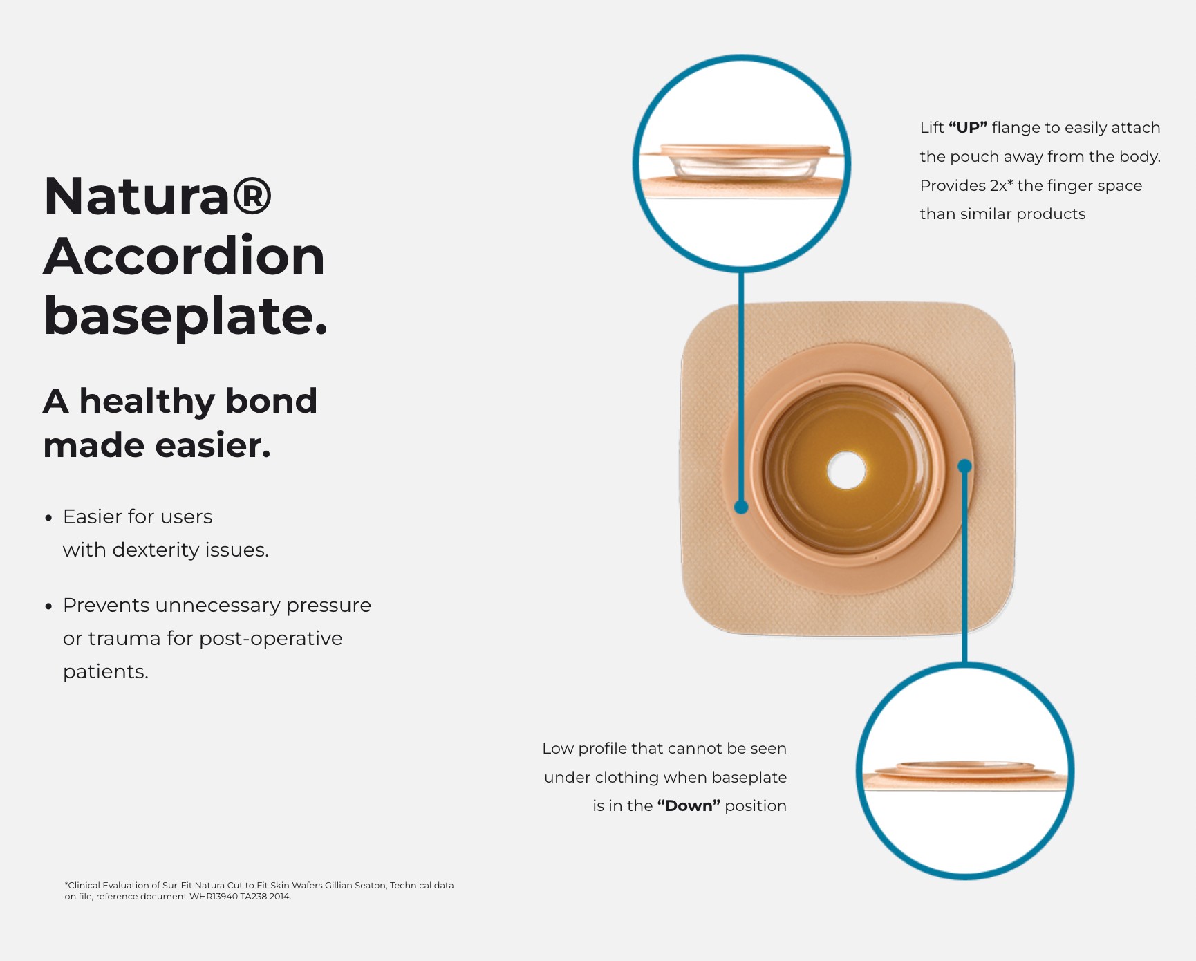 Natura-haitarin pohjalevy