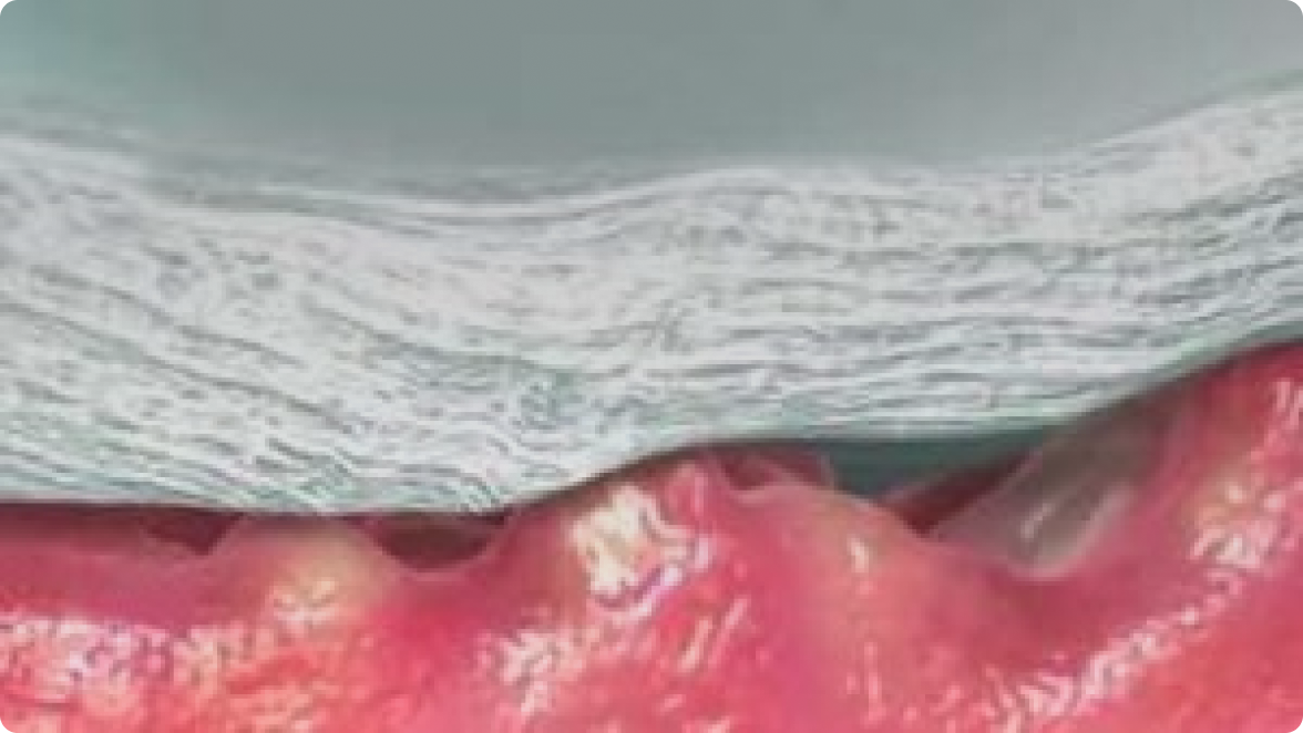 En närbild av en våg