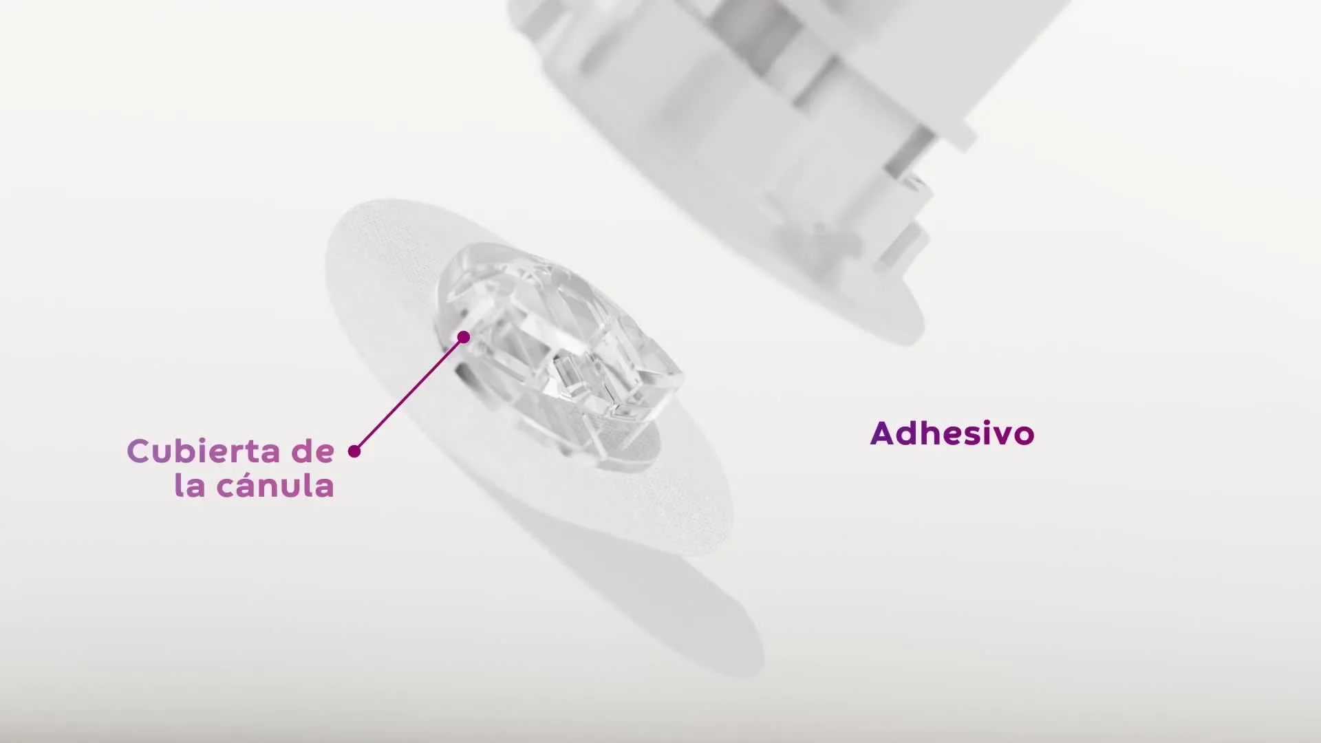 Guía de instrucciones animadas de Neria™ Guard